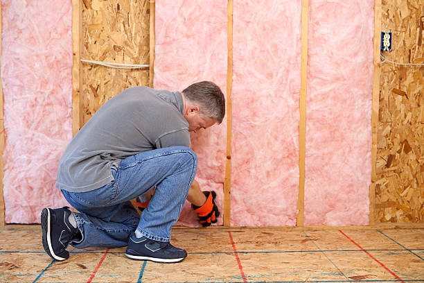Best Insulation for Specific Applications in Wailuku, HI
